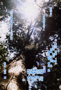 第12回公演 砂の上、星の下 ~砂漠で鍋~